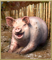 Babe the Runaway Sow