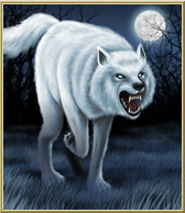 Arctic Wolf