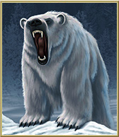 Urso polar