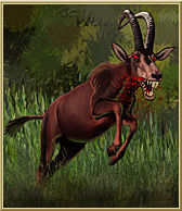 Cursed Antelope