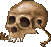 Skull helmet